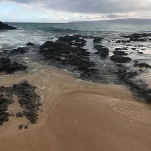 Meet your Posher, Joy